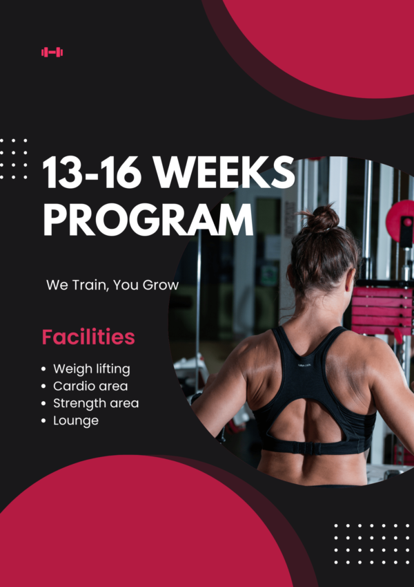 13-16 WEEKS PROGRAM